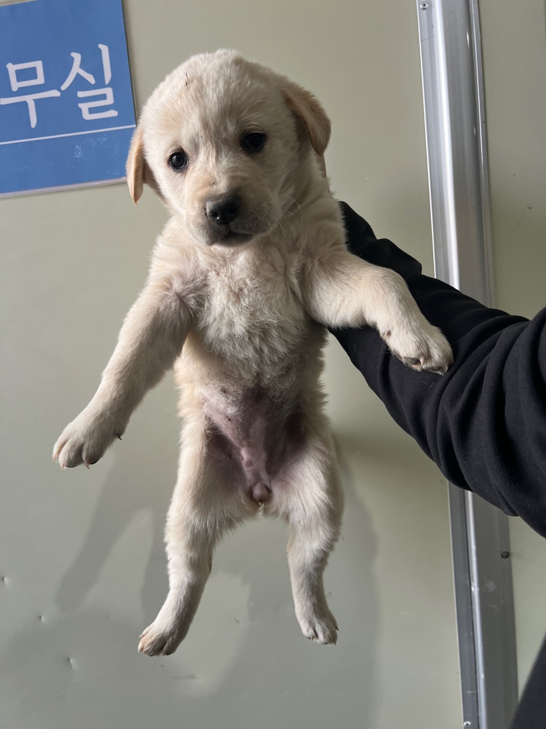 부산동물보호센터_426332202500030